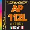 12-string acoustic sets