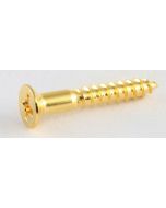 GS-0063-002 Gold Bridge Mounting Screws
