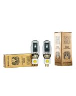 NEC 2A3 ペア（2本セット）中古品 動作未確認 真空管 3極管 出力管