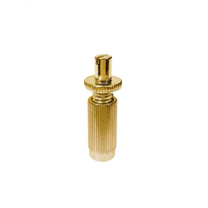 Bridge studs, goud, 2-pack