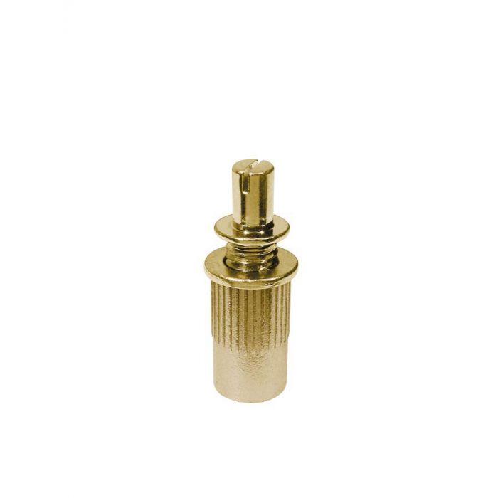 Bridge studs, goud, 2-pack