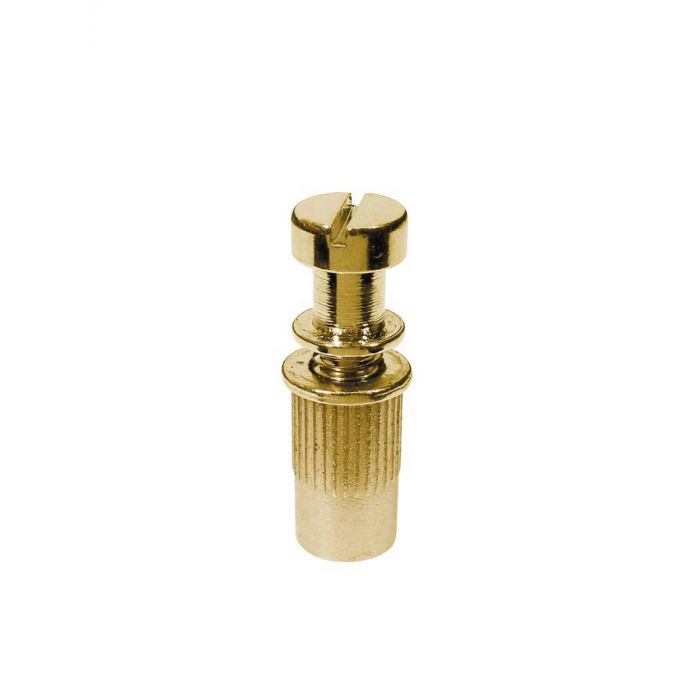 Staartstuk studs, goud, 2-pack