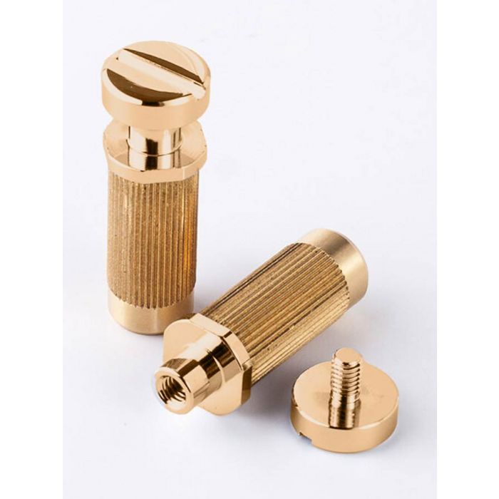 TonePros SM1 locking studs