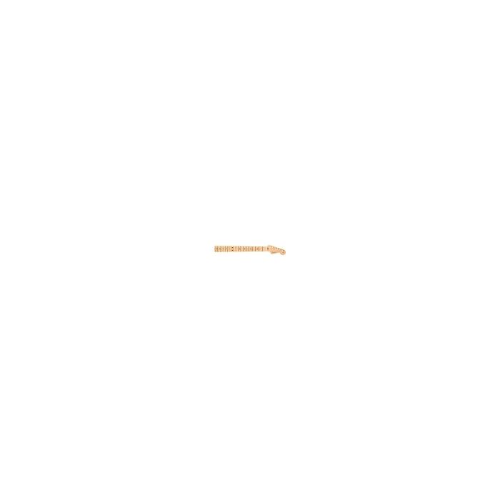 Fender Genuine Replacement American Professional Stratocaster Neck