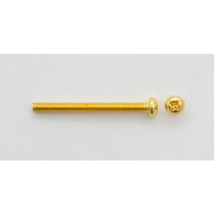 Humbucker schroeven Gold. 2 pcs
