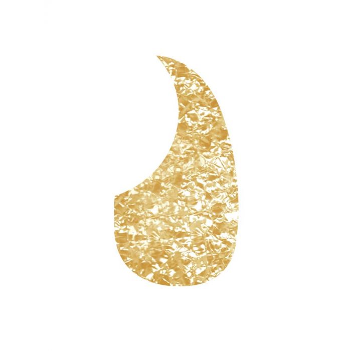 Pickguard acoustic