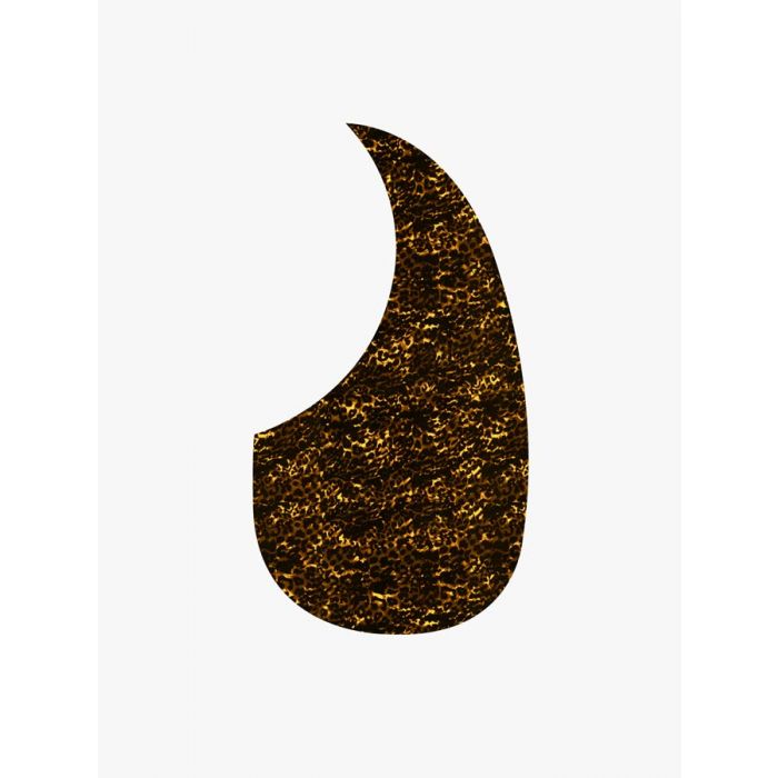 Pickguard acoustic