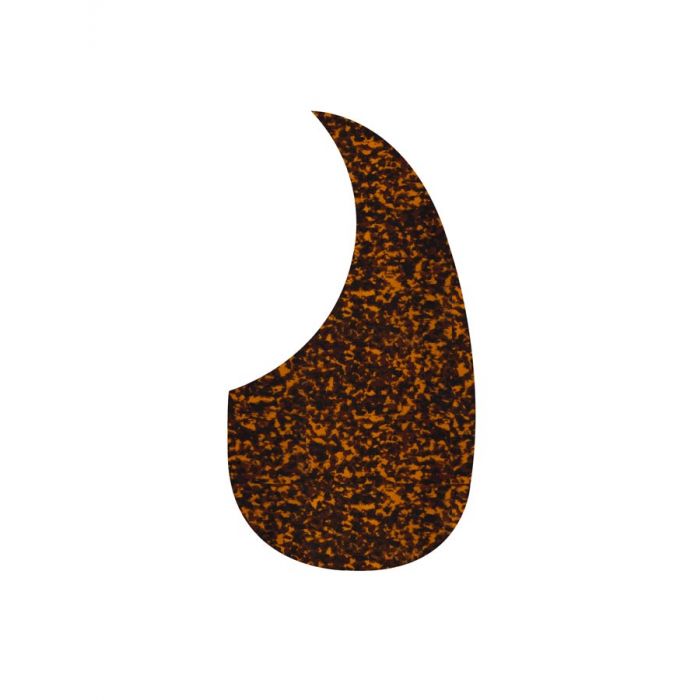 Pickguard acoustic