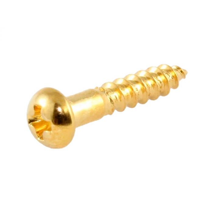 Allparts bulk pack of long machine head screws