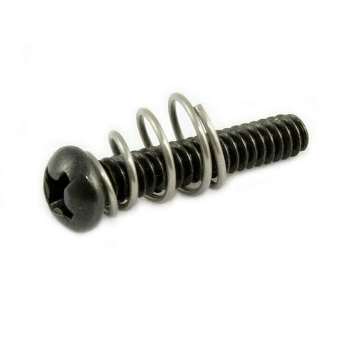 Allparts single coil pickup screw and spring