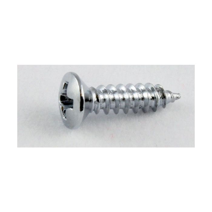 Allparts GS 0001-B10 Bulk PG-Screws chr.100