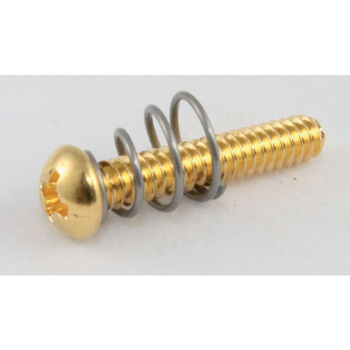 Allparts GS 0007-002 PU Screws/Springs gold