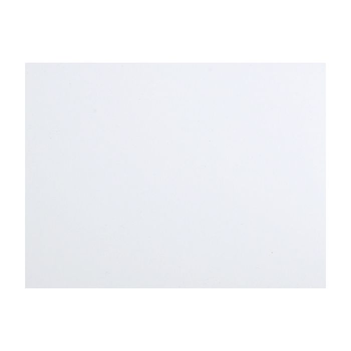 Pickguard Blank