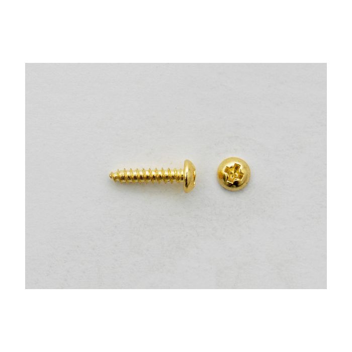 Tuner Screw