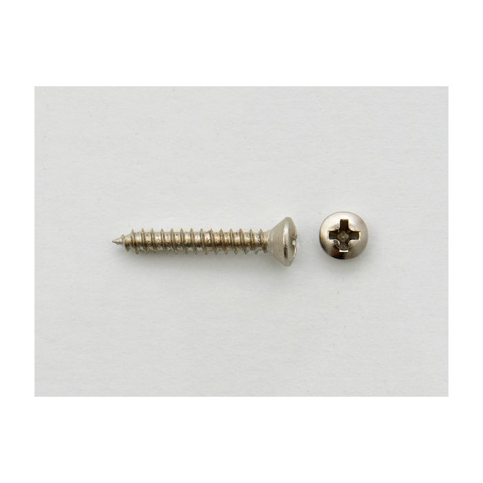 Pickguard Screw 2
