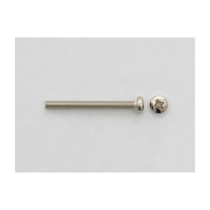 Tele Bridge Screw