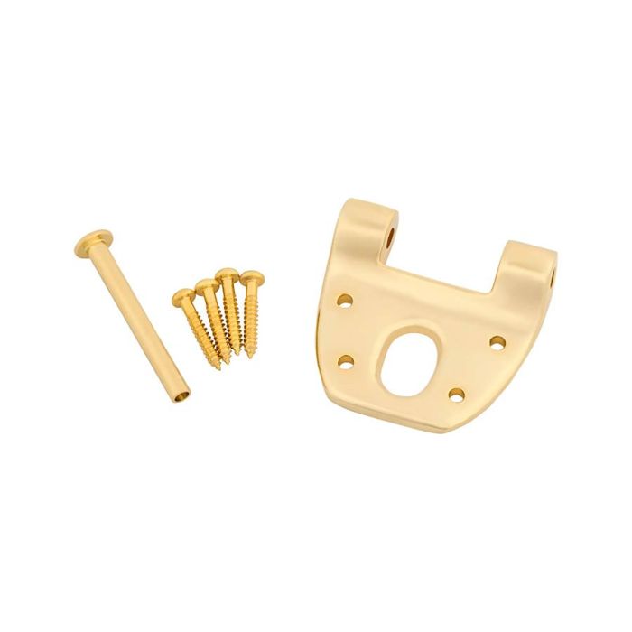 Bigsby extra short hinge with pin and screws, gold plated