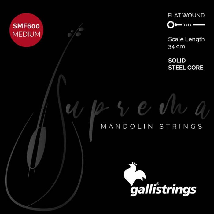 Galli Suprema string set mandolin