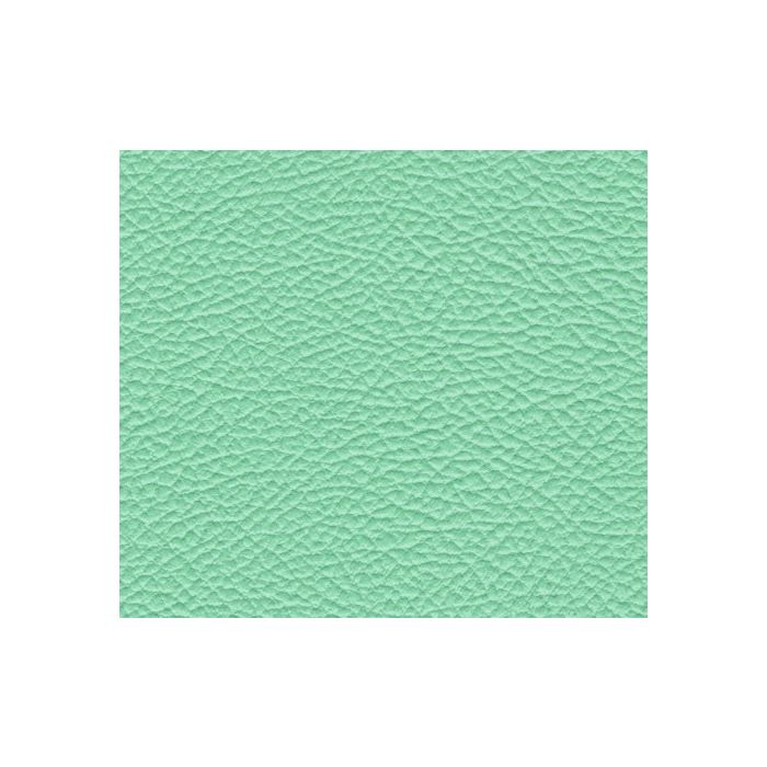 Tolex Seafoam Green