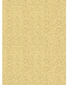 Pickguard material