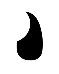 Pickguard acoustic