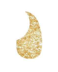Pickguard acoustic
