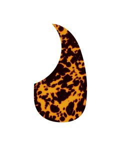 Pickguard acoustic