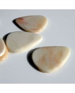 Bone Tones BO1 Buffalo Bone (1)