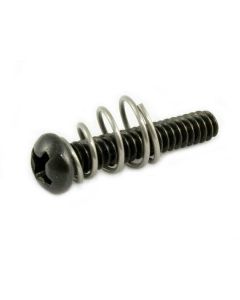 Allparts single coil pickup screw and spring
