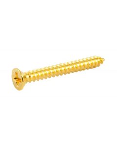 Allparts bulk pack of humbucking ring screws