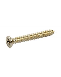 Allparts bulk pack of humbucking ring screws