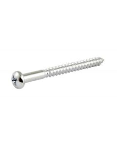 Allparts bulk pack of bass pickup screws