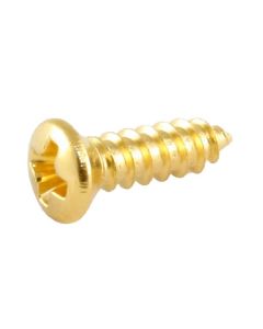 Allparts bulk pack of Gibson  size pickguard screws