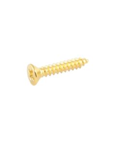 Allparts short humbucking ring screws