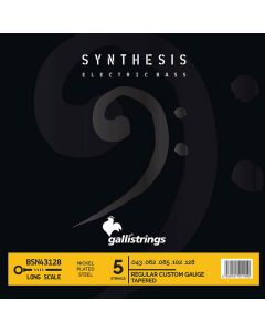 Galli Synthesis 5-string set electric bass, nickel and steel double winding, reg custom tapered, 043-062-085-102-12