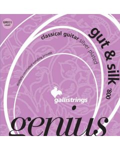 Galli Genius Gut & Silk string set classic, light tension, 024-031-037-026-033-040