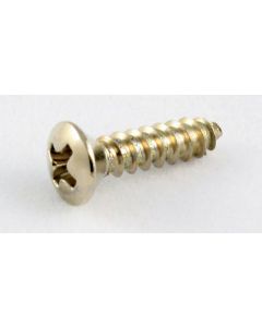 Allparts GS 0001-B05 Bulk PG-Screws SS(100)