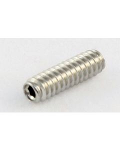 Allparts GS 0002-B05 Bulk Maden Screws l.100