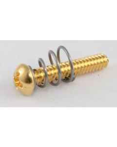 Allparts GS 0007-002 PU Screws/Springs gold 