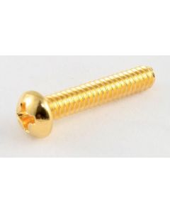 Allparts GS 0007-B02 Bulk PU screw gold 50 