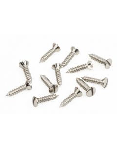 Fender® Pickguard Screws (12)