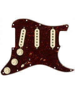 Fender® Prewired PG Strat® TexMex shell 