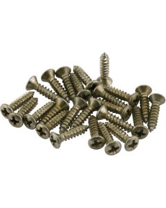Fender® Roadworn Pickguard Screws