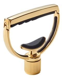 G7th Heritage Capo 12-String 1 gold