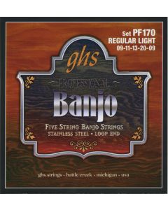 GHS Stainless Steel Banjo 009
