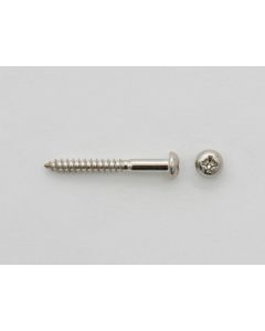 Tremolo Bearing Screw