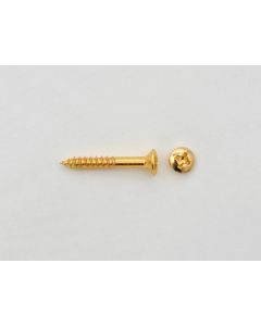 Bridge Screw 3