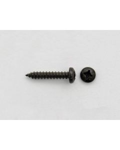 Strat Pickup Screw 3x16