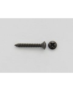 Pickguard Screw 2