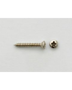 Pickguard Screw 2